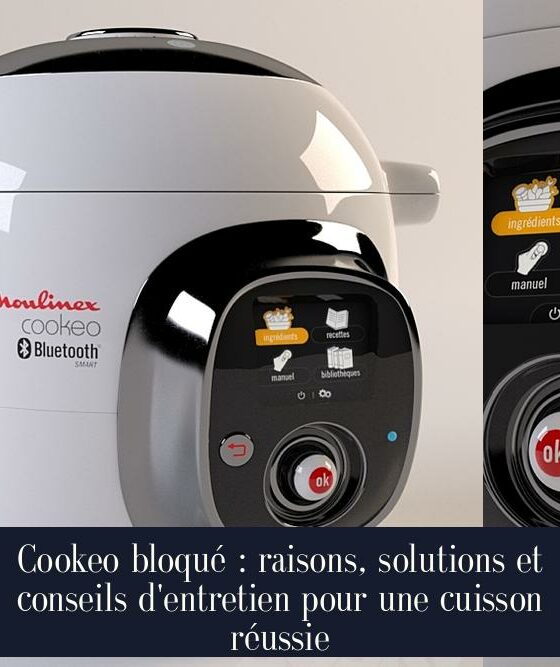 Cookeo bloqué : raisons, solutions et conseils d'entretien pour une cuisson réussie
