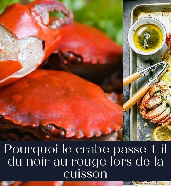 Pourquoi le crabe passe-t-il du noir au rouge lors de la cuisson