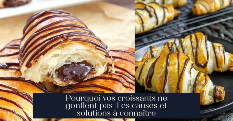 Pourquoi vos croissants ne gonflent pas Les causes et solutions à connaître