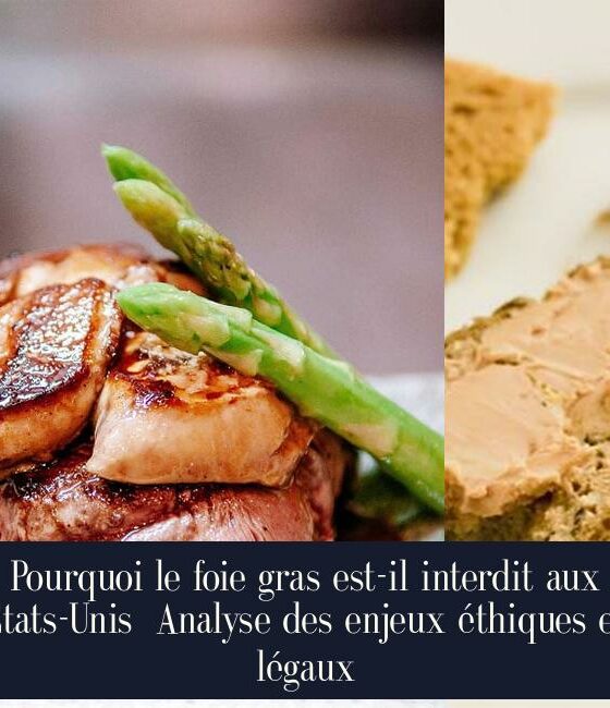 Pourquoi le foie gras est-il interdit aux États-Unis Analyse des enjeux éthiques et légaux
