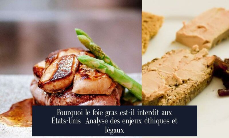 Pourquoi le foie gras est-il interdit aux États-Unis Analyse des enjeux éthiques et légaux