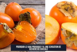 Pourquoi le kaki provoque-t-il une sensation de sécheresse buccale