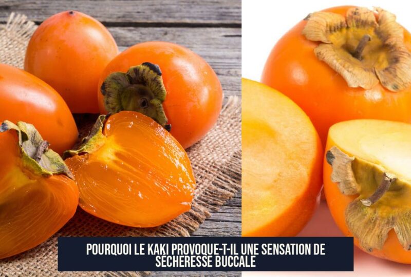 Pourquoi le kaki provoque-t-il une sensation de sécheresse buccale