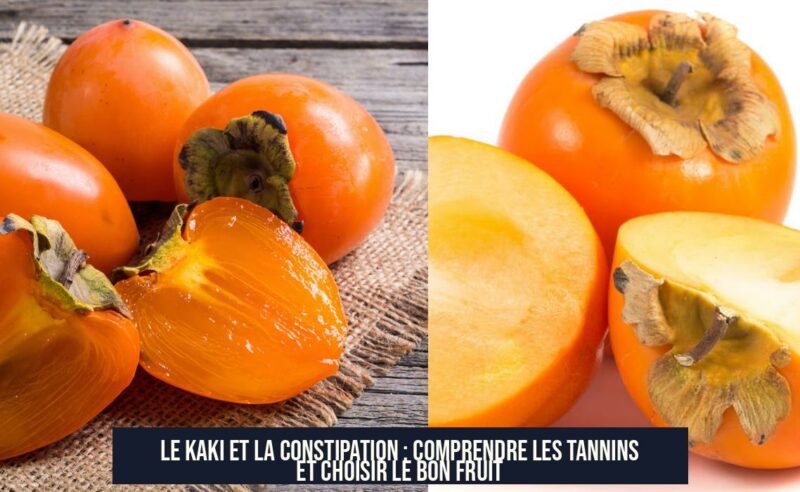 Le kaki et la constipation : comprendre les tannins et choisir le bon fruit
