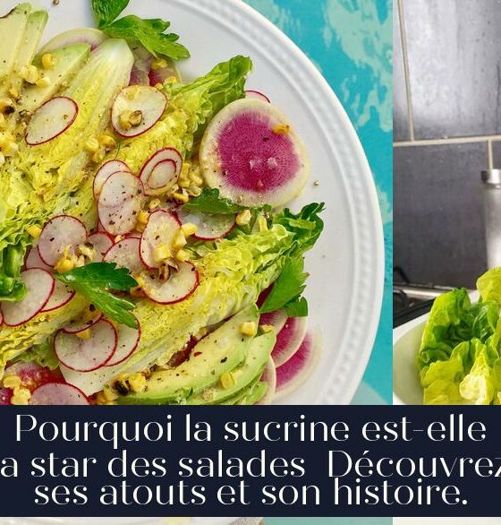 Pourquoi la sucrine est-elle la star des salades Découvrez ses atouts et son histoire.