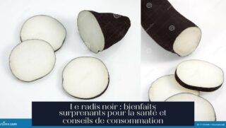 Le radis noir : bienfaits surprenants pour la santé et conseils de consommation