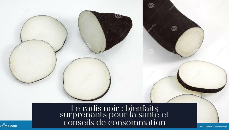 Le radis noir : bienfaits surprenants pour la santé et conseils de consommation