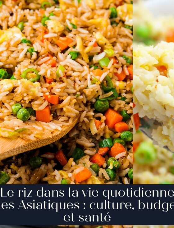 Le riz dans la vie quotidienne des Asiatiques : culture, budget et santé