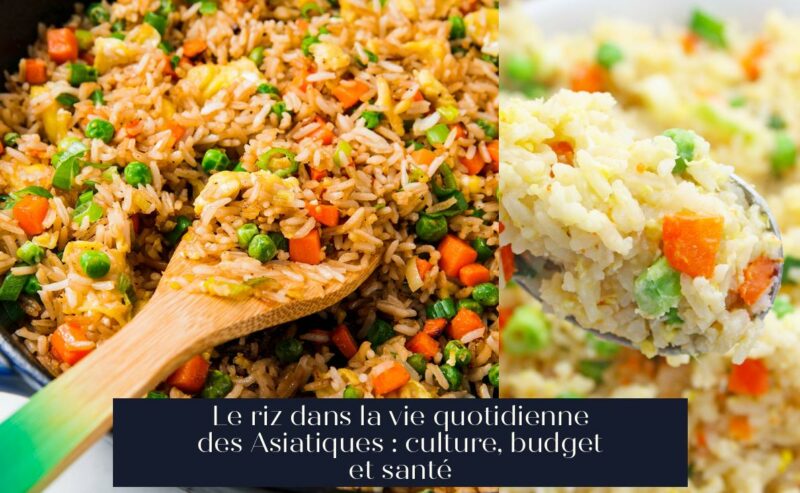 Le riz dans la vie quotidienne des Asiatiques : culture, budget et santé