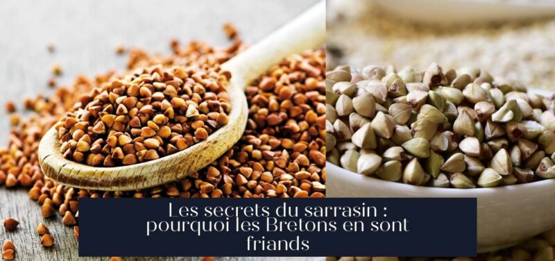 Les secrets du sarrasin : pourquoi les Bretons en sont friands