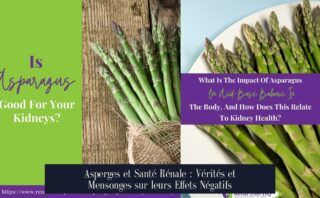 Asperges et Santé Rénale : Vérités et Mensonges sur leurs Effets Négatifs