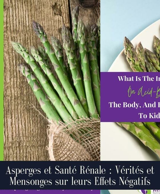 Asperges et Santé Rénale : Vérités et Mensonges sur leurs Effets Négatifs