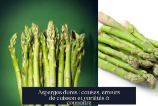 Asperges dures : causes, erreurs de cuisson et variétés à connaître