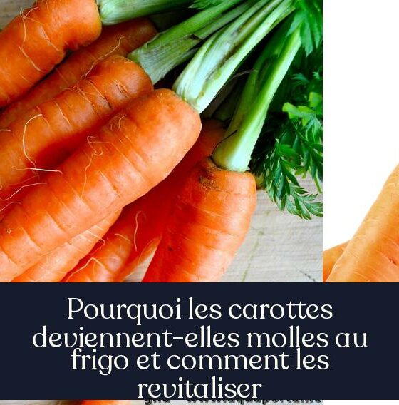 Pourquoi les carottes deviennent-elles molles au frigo et comment les revitaliser