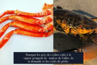 Pourquoi les prix des crabes cuits à la vapeur grimpent-ils Analyse de l'offre, de la demande et des coûts de pêche.