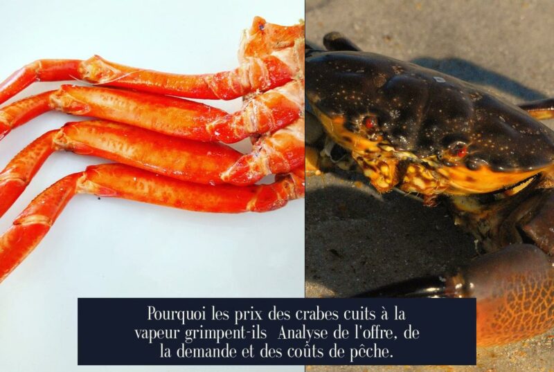 Pourquoi les prix des crabes cuits à la vapeur grimpent-ils Analyse de l'offre, de la demande et des coûts de pêche.