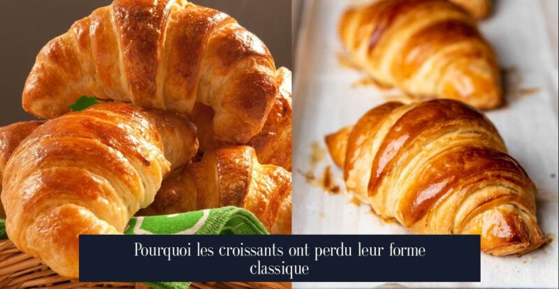 Pourquoi les croissants ont perdu leur forme classique