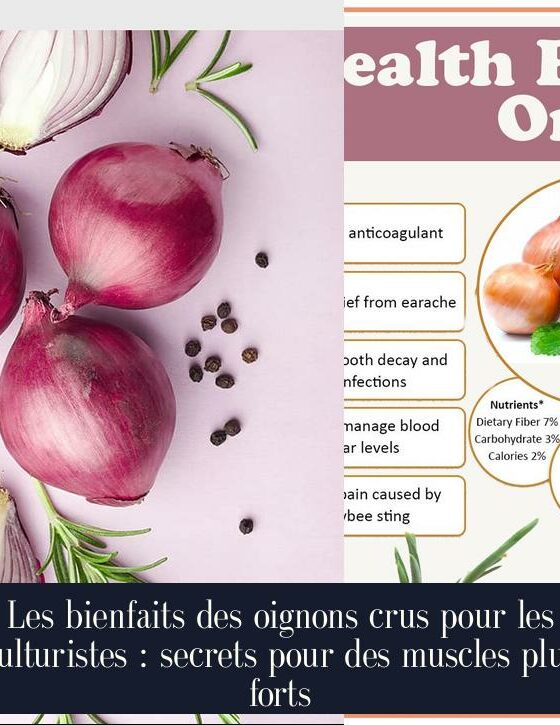 Les bienfaits des oignons crus pour les culturistes : secrets pour des muscles plus forts