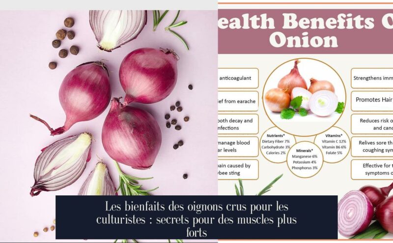 Les bienfaits des oignons crus pour les culturistes : secrets pour des muscles plus forts