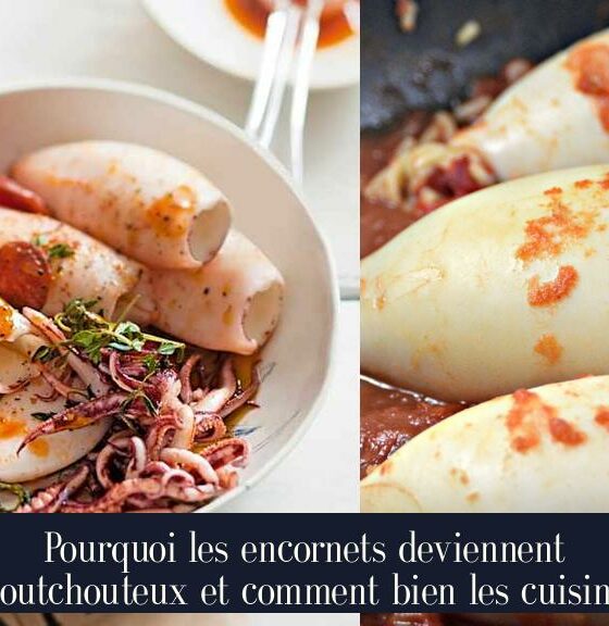 Pourquoi les encornets deviennent caoutchouteux et comment bien les cuisiner