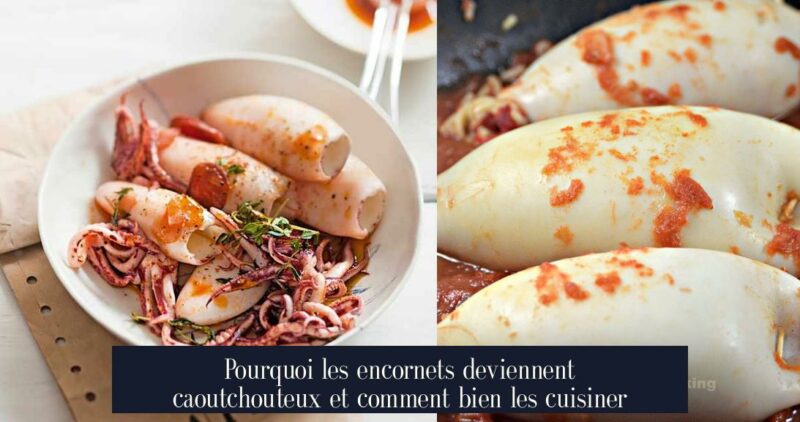 Pourquoi les encornets deviennent caoutchouteux et comment bien les cuisiner