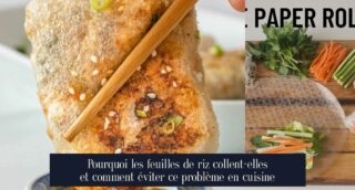 Pourquoi les feuilles de riz collent-elles et comment éviter ce problème en cuisine