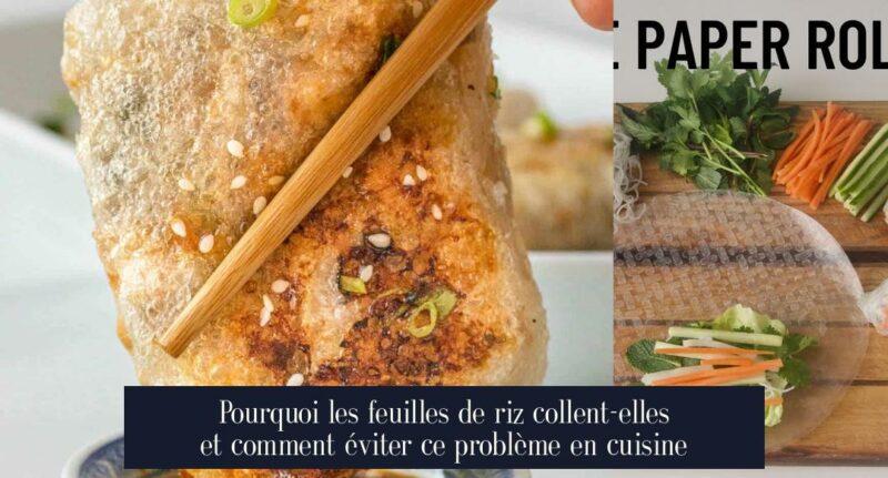 Pourquoi les feuilles de riz collent-elles et comment éviter ce problème en cuisine