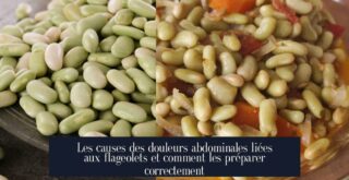 Les causes des douleurs abdominales liées aux flageolets et comment les préparer correctement