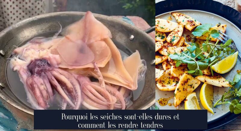 Pourquoi les seiches sont-elles dures et comment les rendre tendres
