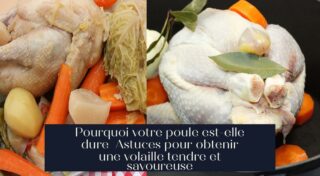 Pourquoi votre poule est-elle dure Astuces pour obtenir une volaille tendre et savoureuse