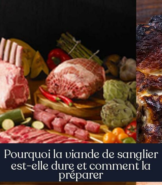 Pourquoi la viande de sanglier est-elle dure et comment la préparer