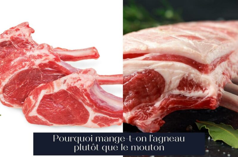 Pourquoi mange-t-on l'agneau plutôt que le mouton