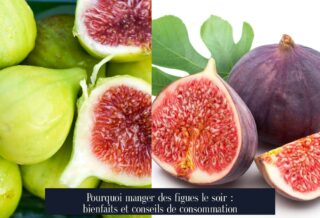 Pourquoi manger des figues le soir : bienfaits et conseils de consommation