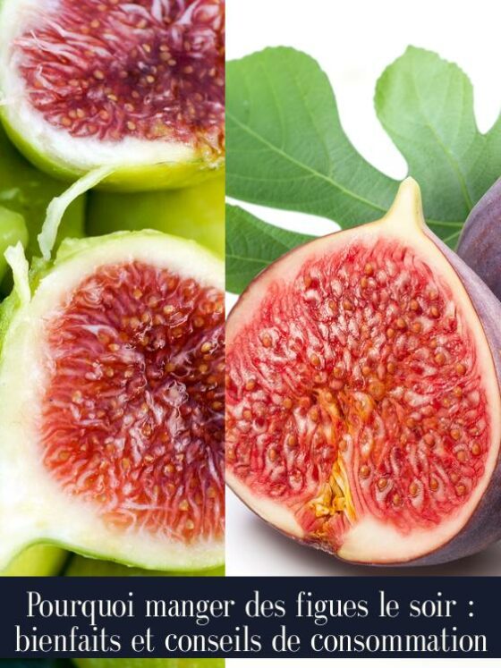 Pourquoi manger des figues le soir : bienfaits et conseils de consommation