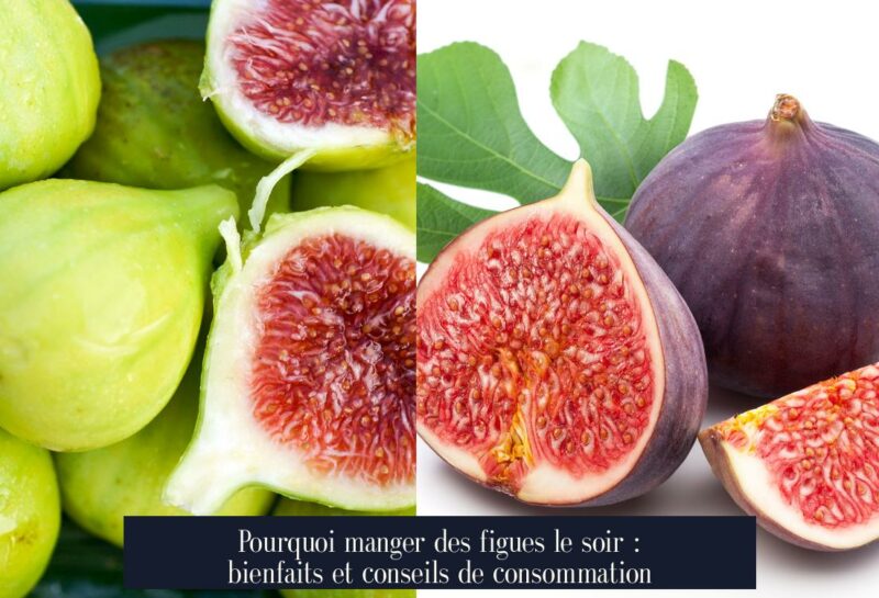 Pourquoi manger des figues le soir : bienfaits et conseils de consommation