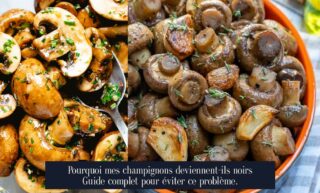 Pourquoi mes champignons deviennent-ils noirs Guide complet pour éviter ce problème.