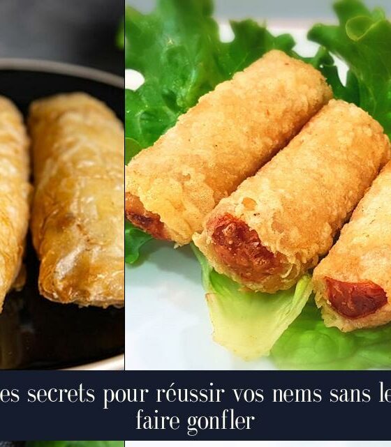 Les secrets pour réussir vos nems sans les faire gonfler