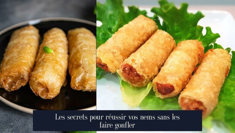 Les secrets pour réussir vos nems sans les faire gonfler