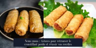 Nems mous : Astuces pour retrouver le croustillant perdu et réussir vos recettes
