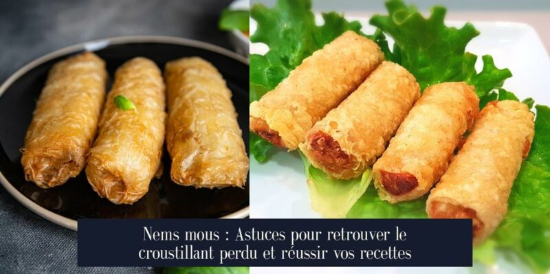 Nems mous : Astuces pour retrouver le croustillant perdu et réussir vos recettes