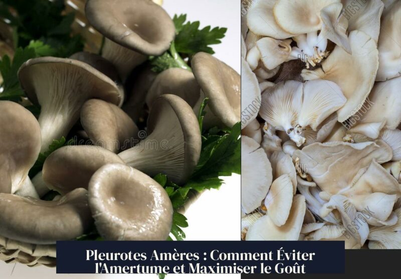Pleurotes Amères : Comment Éviter l'Amertume et Maximiser le Goût