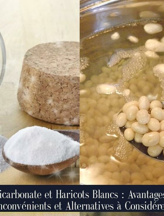 Bicarbonate et Haricots Blancs : Avantages, Inconvénients et Alternatives à Considérer