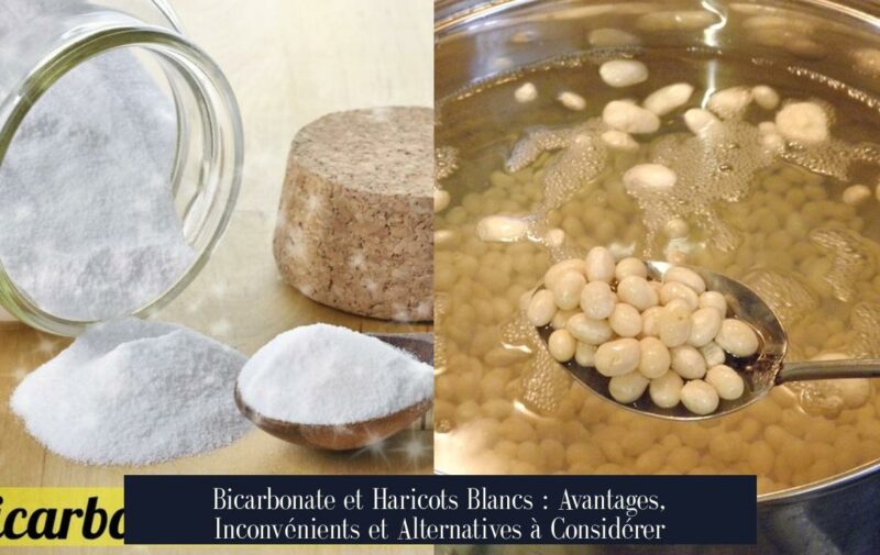 Bicarbonate et Haricots Blancs : Avantages, Inconvénients et Alternatives à Considérer