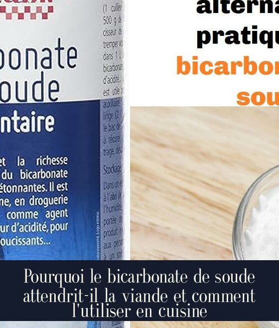 Pourquoi le bicarbonate de soude attendrit-il la viande et comment l'utiliser en cuisine