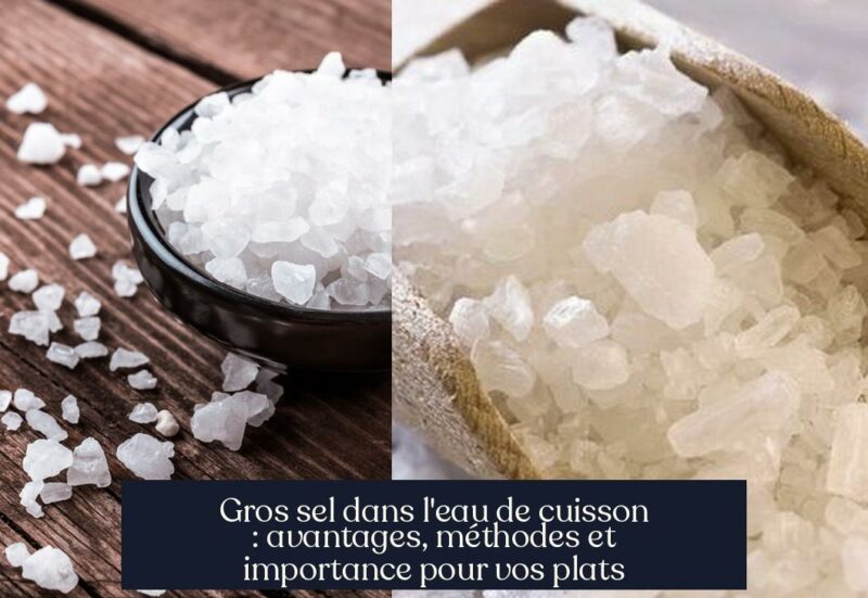 Gros sel dans l'eau de cuisson : avantages, méthodes et importance pour vos plats