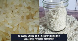 Riz dans la maison : un allié contre l'humidité et des astuces pratiques à découvrir