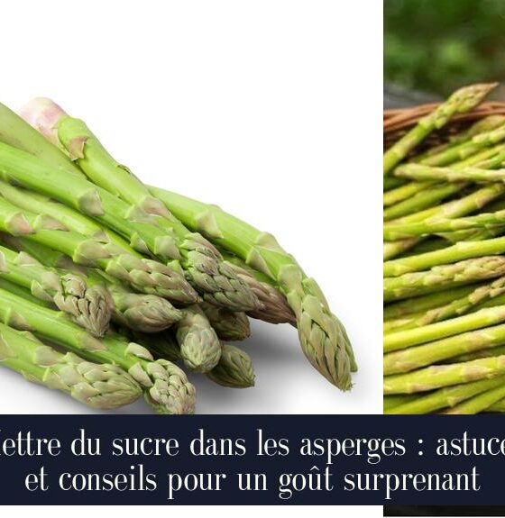 Mettre du sucre dans les asperges : astuces et conseils pour un goût surprenant