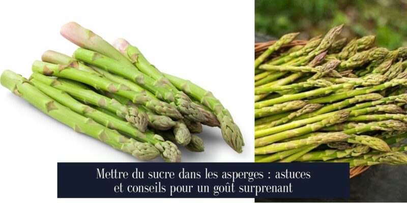 Mettre du sucre dans les asperges : astuces et conseils pour un goût surprenant