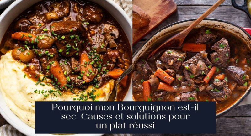 Pourquoi mon Bourguignon est-il sec Causes et solutions pour un plat réussi