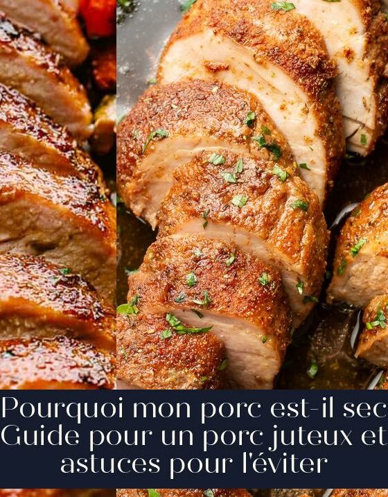 Pourquoi mon porc est-il sec Guide pour un porc juteux et astuces pour l'éviter
